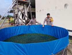 KAPOLSEK HANAU CEK BUDIDAYA IKAN LELE, DUKUNG PROGRAM KETAHANAN PANGAN