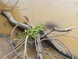 Kapolres Katingan membenarkan jasad yang ditemukan di Sungai Katingan, Rantau Asem, adalah Aiptu Sumaryanto.