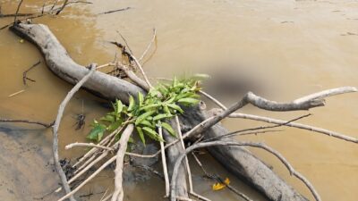 Kapolres Katingan membenarkan jasad yang ditemukan di Sungai Katingan, Rantau Asem, adalah Aiptu Sumaryanto.
