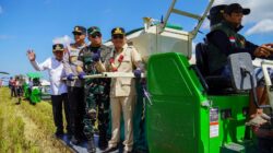 Panen Raya Padi di Kapuas, Gubernur Dorong Peningkatan Produktivitas Pertanian