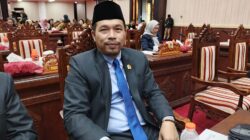 Tomy Irawan Dorong Pemda Tingkatkan Kesejahteraan Kader Posyandu di Kalimantan Tengah