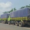 Angkutan Batu Bara Melintas Jalan Negara Katingan Sampit,Dishub Kalteng: Tidak Ada Izin yang Melindungi