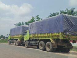 Angkutan Batu Bara Melintas Jalan Negara Katingan Sampit,Dishub Kalteng: Tidak Ada Izin yang Melindungi