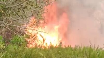 Api Kembali Muncul di Perbatasan Bereng Bengkel–Kalampangan, Tim Karhutla Kesulitan Air