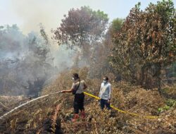 Karhutla di Langkai Permai Meluas, Polsek Pahandut Bersama Warga Lakukan Pemadaman
