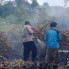 TIGA TITIK API TERDETEKSI DI PARING RAYA, TIM GABUNGAN BERGERAK PADAMKAN KARHUTLA