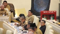 Wagub Edy Pratowo Sampaikan Persoalan Karhutla Kalteng ke Komisi II DPR RI