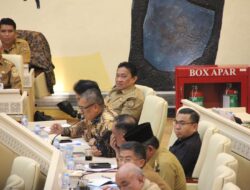 Wagub Edy Pratowo Sampaikan Persoalan Karhutla Kalteng ke Komisi II DPR RI