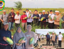 Kemarau Tak Boleh Matikan Produktivitas, Bupati Seruyan Dorong Sawah Ditorehkan Semangka