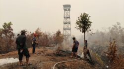 MPA,Langsung Diterjunkan ke Jantung Karhutla Sabangau