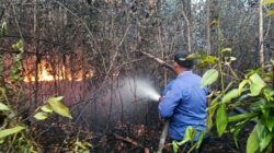 HOTSPOT TERDETEKSI DI TERAWAN, POLSEK DANAU SEMBULUH BERSAMA TIM GABUNGAN LANGSUNG TURUN TANGAN