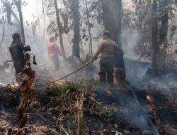 CEGAH API MENDEKATI PEMUKIMAN, PERSONEL GABUNGAN PADAMKAN KARHUTLA DI DESA BAHAUR