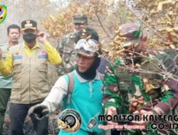 Api Mengancam TN Tanjung Puting, Bupati Seruyan dan Danrem Siapkan Pasukan Gabungan