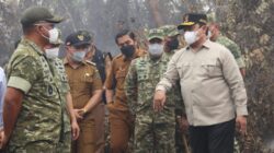 Kepala BNPB dan Kasad TNI AD Tinjau Lokasi Karhutla di Pulang Pisau, Perkuat Koordinasi Penanganan Kebakaran