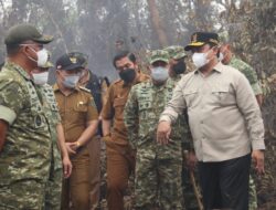 Kepala BNPB dan Kasad TNI AD Tinjau Lokasi Karhutla di Pulang Pisau, Perkuat Koordinasi Penanganan Kebakaran