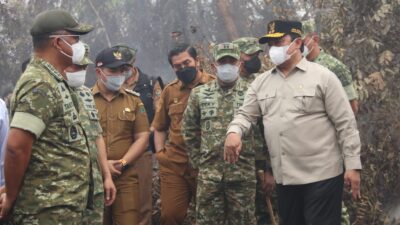 Kepala BNPB dan Kasad TNI AD Tinjau Lokasi Karhutla di Pulang Pisau, Perkuat Koordinasi Penanganan Kebakaran