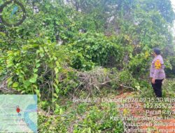 BHABINKAMTIBMAS PERSIL RAYA SAMBANGI WARGA YANG RUMAHNYA TERTIMPA POHON TUMBANG